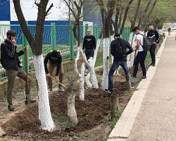 К субботнику готовы!