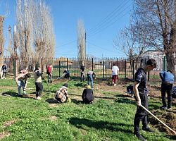 В Лиманском филиале колледжа начались весенние субботники